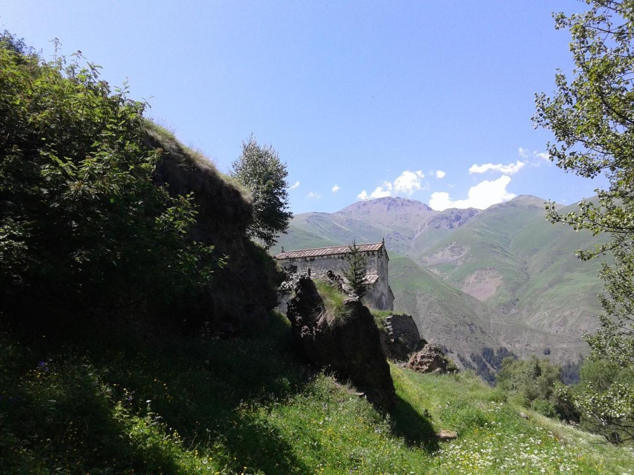 Kazbegi Cottages Qabarjina Ngoại thất bức ảnh